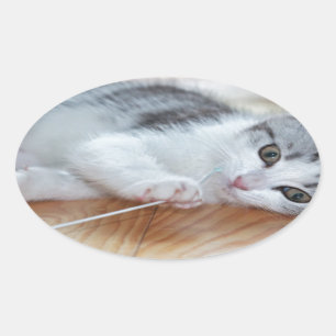 Adesivo Oval Cute Kitten tocando com uma corda