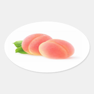 Adesivo Oval damascos cor-de-rosa