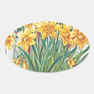 Adesivo Oval data rsvp flores narciso amarelo vintage