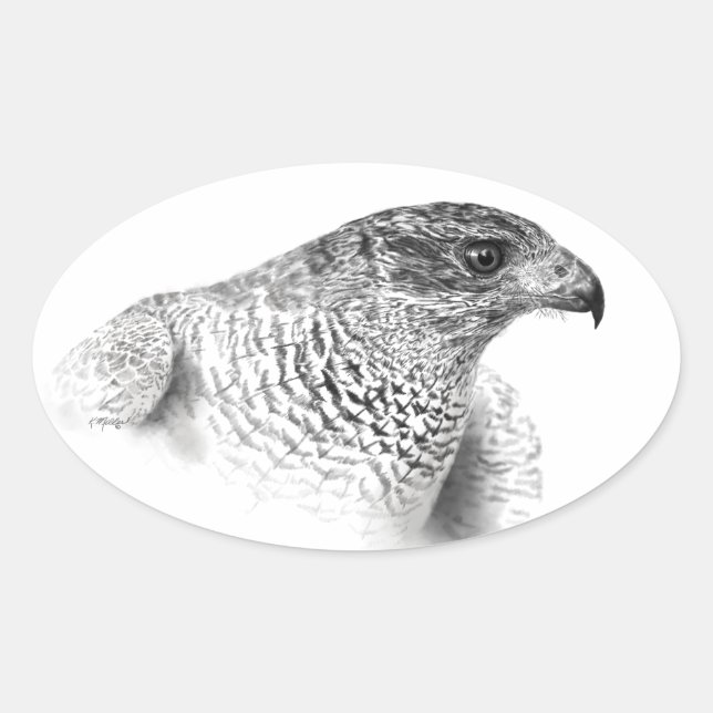 Adesivo Oval Desenho Goshawk (Frente)