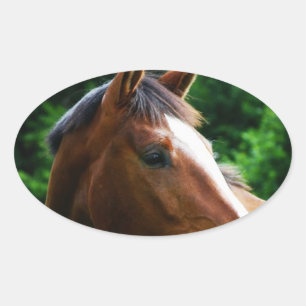 Adesivo Oval Design a sua própria Forma Oval Personalizada de A