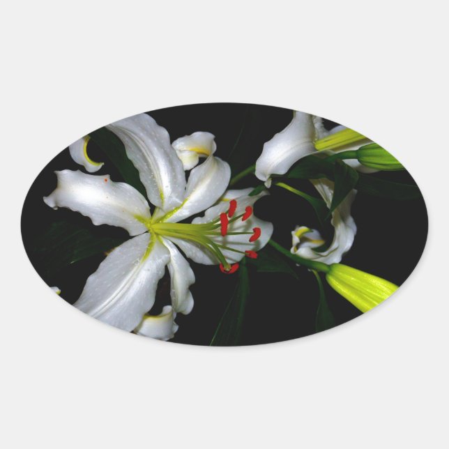 Adesivo Oval Design irlandês e Design de flores (Frente)