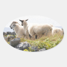 Adesivo Oval Designs Quirky - Ovinos em um campo