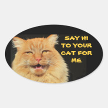 Diga Oi Para O Seu Gato Oval Sticker