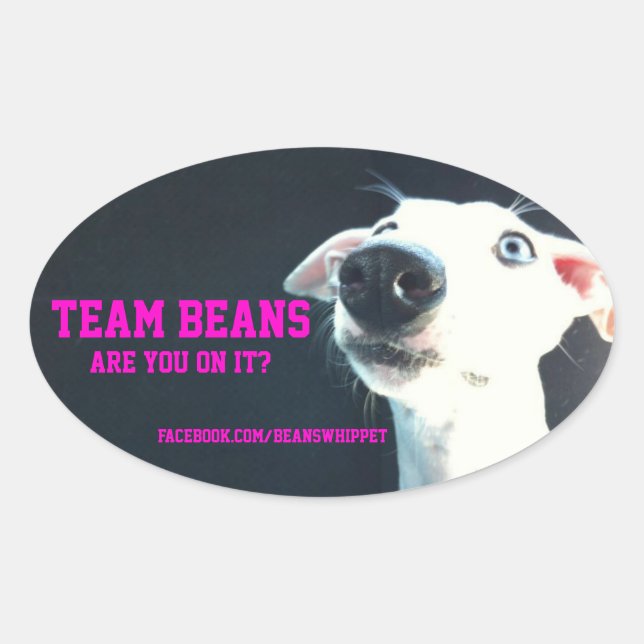 Adesivo oval do Team Beans (Frente)