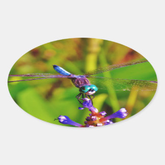 Adesivo Oval Dragonfly e flor