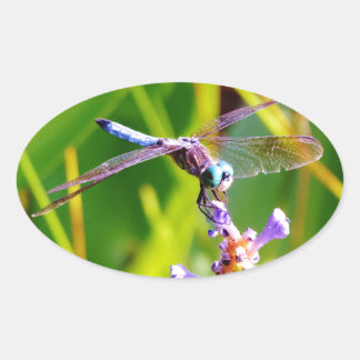 Adesivo Oval Dragonfly Teal & Purple