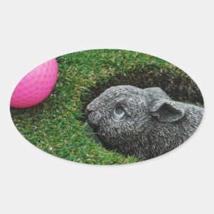 ADESIVO OVAL DSCF0652.JPG