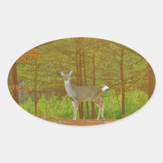 ADESIVO OVAL DSCF4041.JPG (Frente)