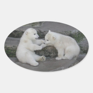 Adesivo Oval Duas crias de urso polar
