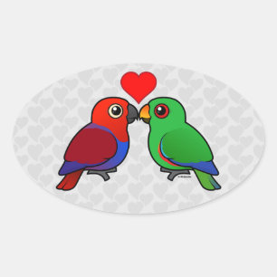 Adesivo Oval Eclectus Parrots in Love