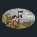 Adesivo Oval Elegante Holly Christmas,<br><div class="desc">Elegante Holly Christmas,  azul sky Foto de Sandy Closs xmas Christmas holly,  berry,  "holly berry" "elegante natal" "flores de natal" "floral azul verde azul"</div>