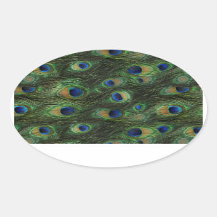 Adesivo Oval Emerald Green Royal Blue Peacock Stickers