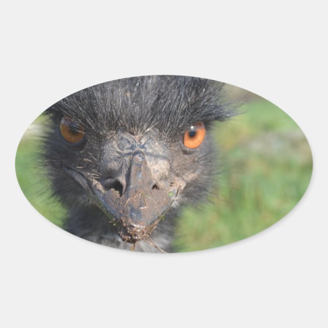 Adesivo Oval Emu Bird Stickers (Frente)