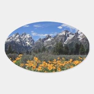 Adesivo Oval Escala de Teton grande coberto de neve com flores