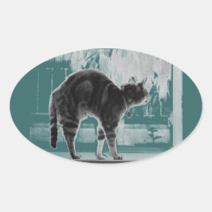 Adesivo Oval Esticando Indigo B+W