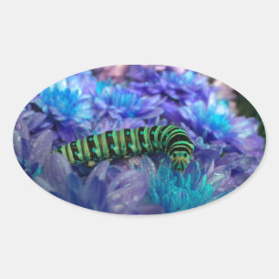 Adesivo Oval Fantasy Caterillar Sticker