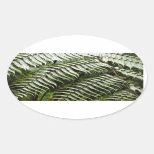 Adesivo Oval Fern Fronds II Dark Green Nature