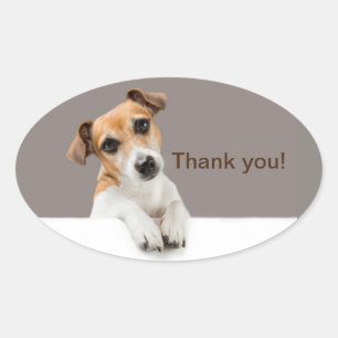 Adesivo Oval Filhote de Jack Russell Doce Adorável Obrigado