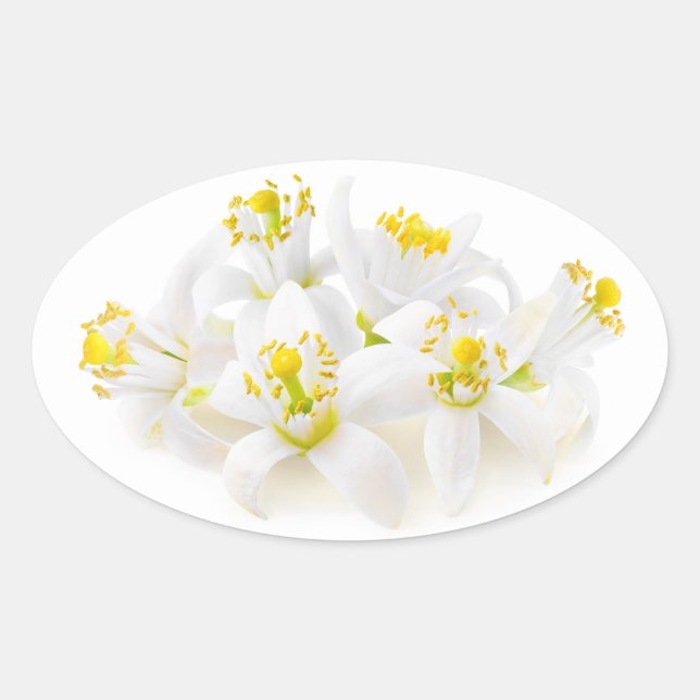 Adesivo Oval Fleur d'oranger (Frente)