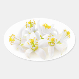 Adesivo Oval Fleur d'oranger