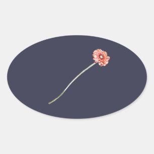 Adesivo Oval Flor de Gerbera Vermelho Pálido