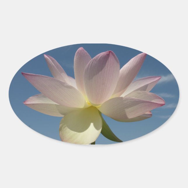 Adesivo Oval Flor de Lotus e Céu Azul II (Frente)