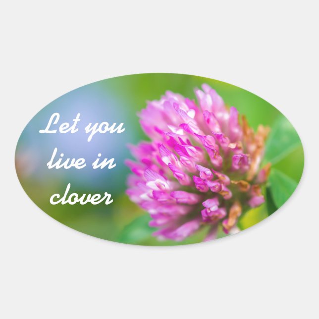 Adesivo Oval Flor de trevo rosa (Frente)