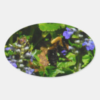 Flor Roxo e Abelhas