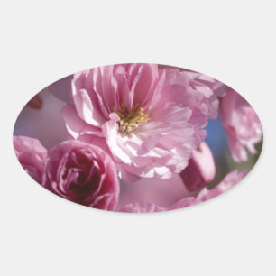 Adesivo Oval Flores Abençoadas