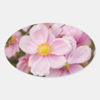 Flores de anêmona japonesa