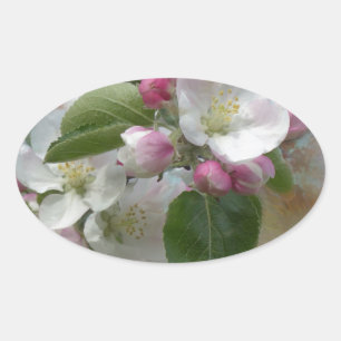 Adesivo Oval Flores de Árvore de Maçã