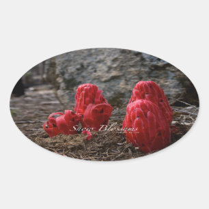 Adesivo Oval Flores de Neve