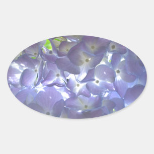 Adesivo Oval Flores roxas roxas, poeiras, empoeiradas