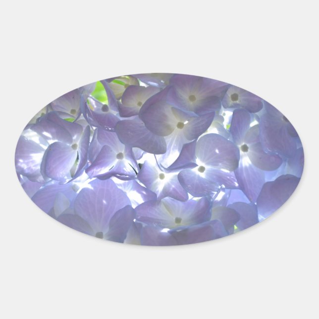 Adesivo Oval Flores roxas roxas, poeiras, empoeiradas (Frente)