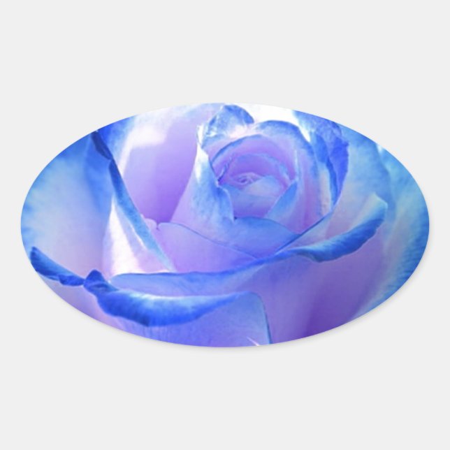 Adesivo Oval flores videiras pétala rosa flores flor azul amor (Frente)