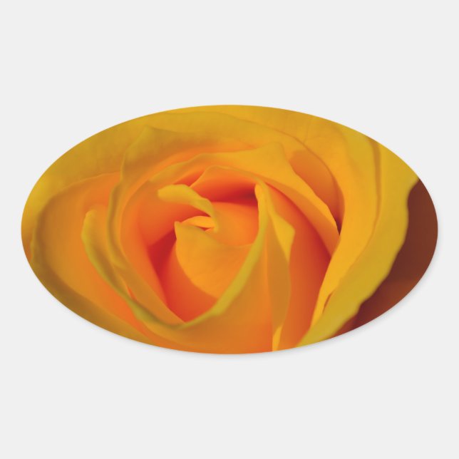 Adesivo Oval Foto de Rosa Amarelo Elegante (Frente)