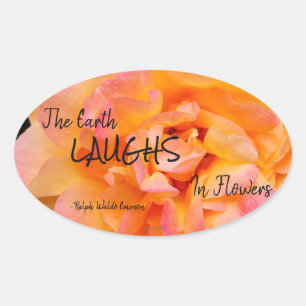 Adesivo Oval Foto do Rosa de Flor de Blend Amarelo Pêssego