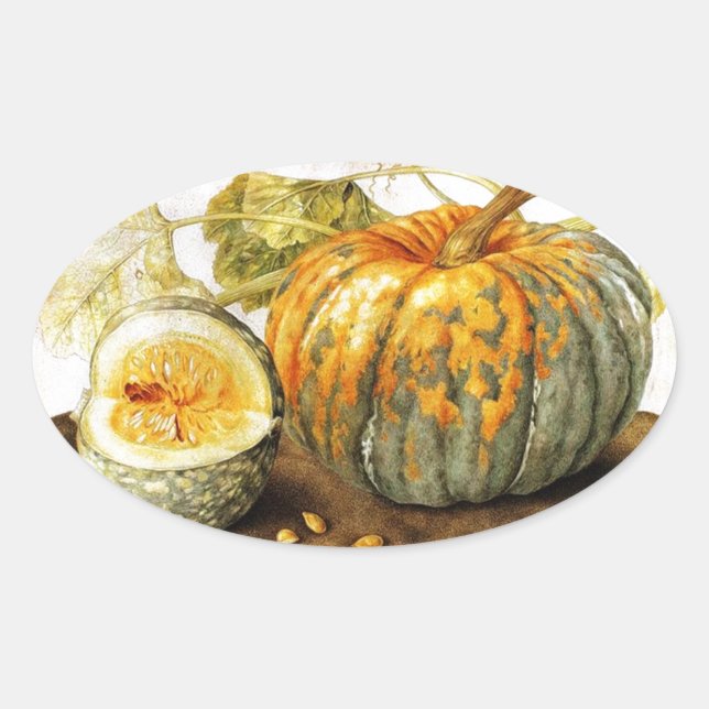 ADESIVO OVAL FRUTAS/PUMPKINS DA SEASON (Frente)