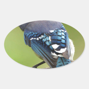 Adesivo Oval Gaio-azul pensando em você amigo família mamãe pap