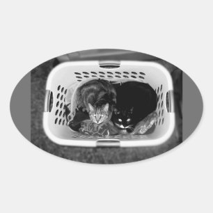 Adesivo Oval Gatinhos da cesta de lavanderia