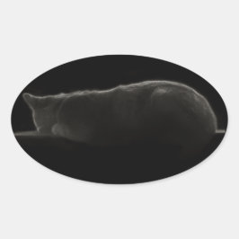 Adesivo Oval Gato de Sono de Fotografia