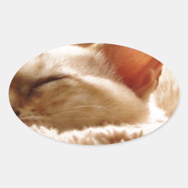 Adesivo Oval Gato Sonolento (Frente)