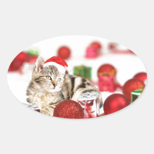 Adesivo Oval Gato usando enfeite de Natal chapéu vermelho de Pa