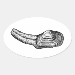Adesivo Oval Geoduck Clam (ilustração a preto e branco)