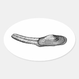Adesivo Oval Geoduck Clam (ilustração a preto e branco)