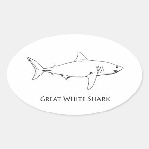 Adesivo Oval Grande tubarão branco (linha arte)
