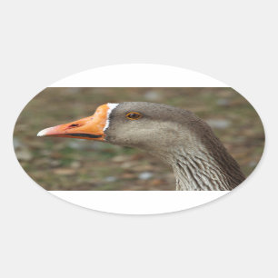 Adesivo Oval Greylag Swan Goose Cross