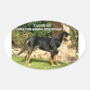 Adesivo Oval gsmd love w pic