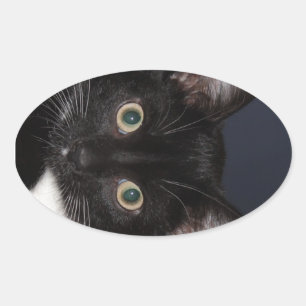 ADESIVO OVAL I LUV KATZ